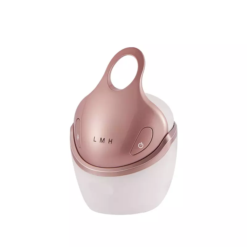Multi-functional Ems Rf Face Lift Anti Wrinkle Electric Beauty Equipment Skin Tightening Device Đa chức năng Ems Rf Nâng cơ mặt Chống nhăn Thiết bị làm đẹp bằng điện Thiết bị làm săn chắc da